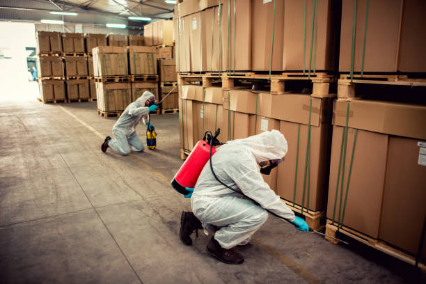 Best Best Pest Control Companies  in Wesleyville, PA