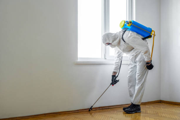 Best Local Pest Control Services  in Wesleyville, PA