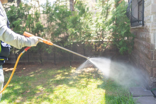 Best Cockroach Control Services  in Wesleyville, PA