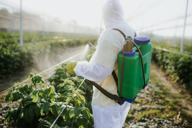  Wesleyville, PA Pest Control Pros